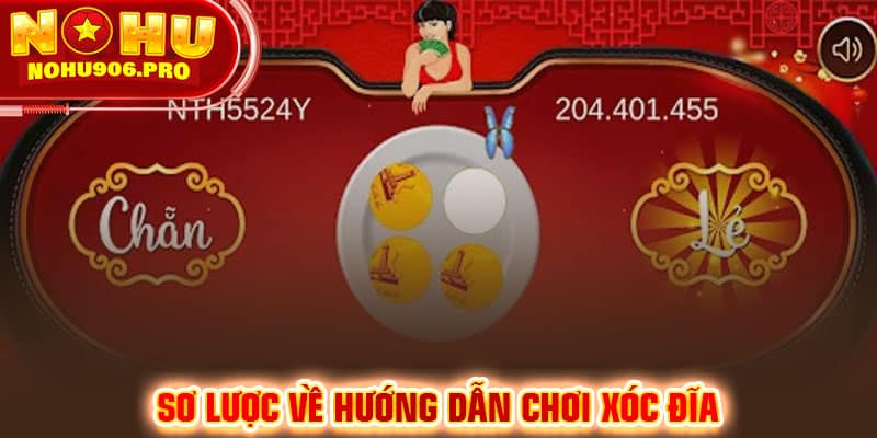 Sơ lược về hướng dẫn chơi xóc đĩa